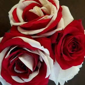 Meet your Posher, Kc